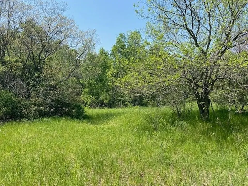 #4 Lyns Court Elk Rapids Township MI 49690
