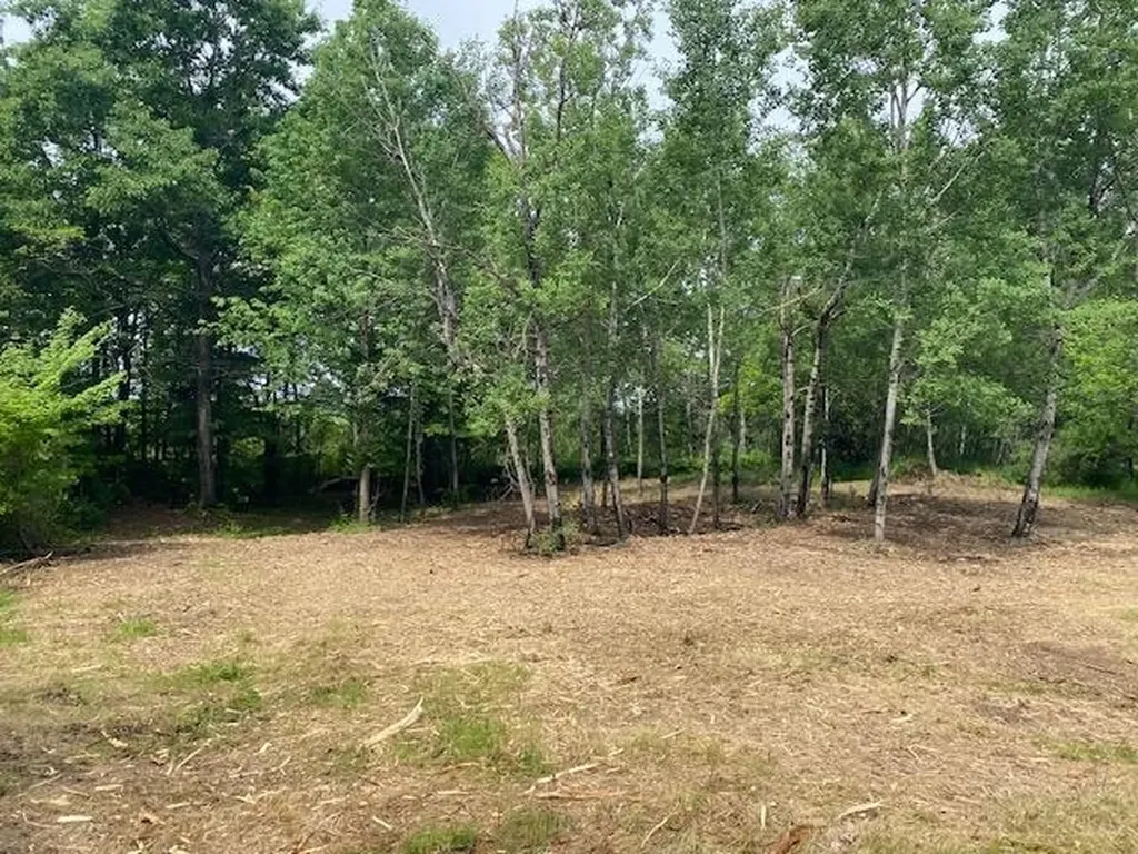 #4 Lyns Court Elk Rapids Township MI 49690
