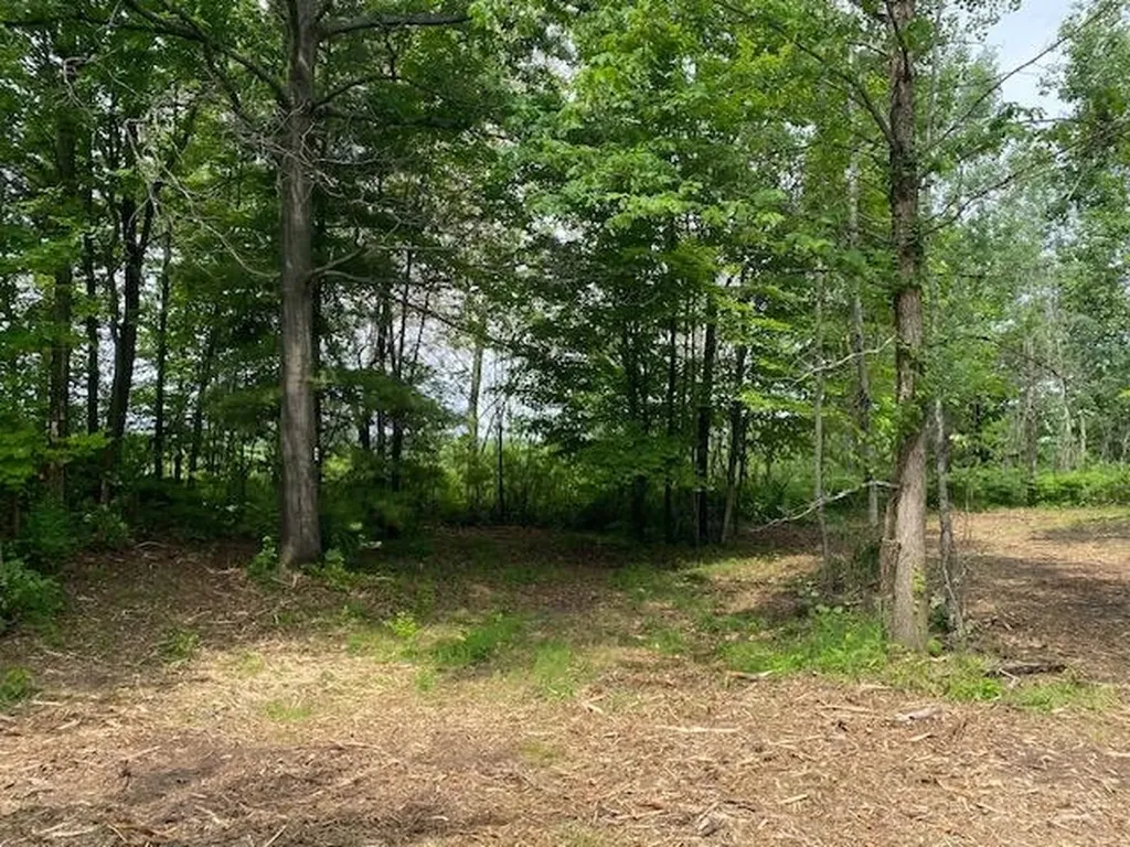 #4 Lyns Court Elk Rapids Township MI 49690