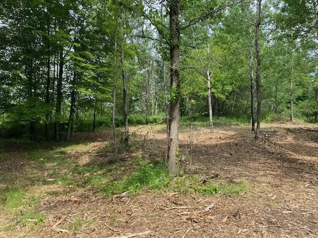 #4 Lyns Court Elk Rapids Township MI 49690