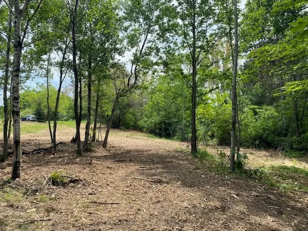 #4 Lyns Court Elk Rapids Township MI 49690