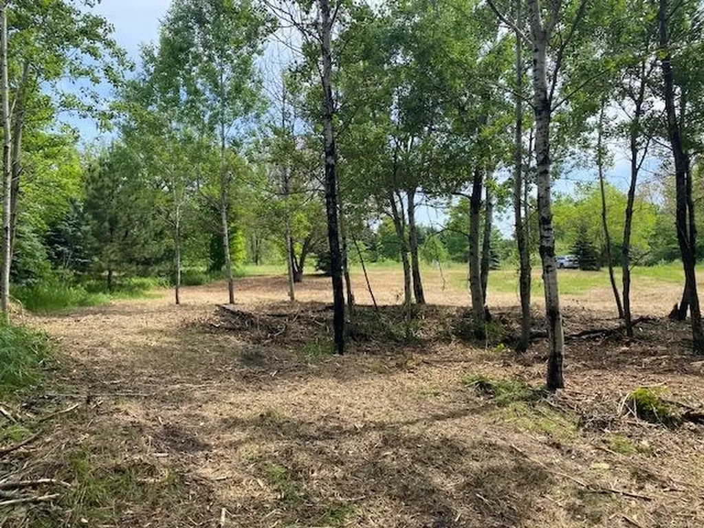 #4 Lyns Court Elk Rapids Township MI 49690