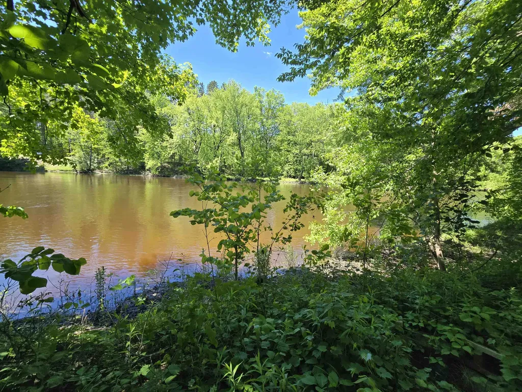 Linden Drive Sylvan Township MI 49631