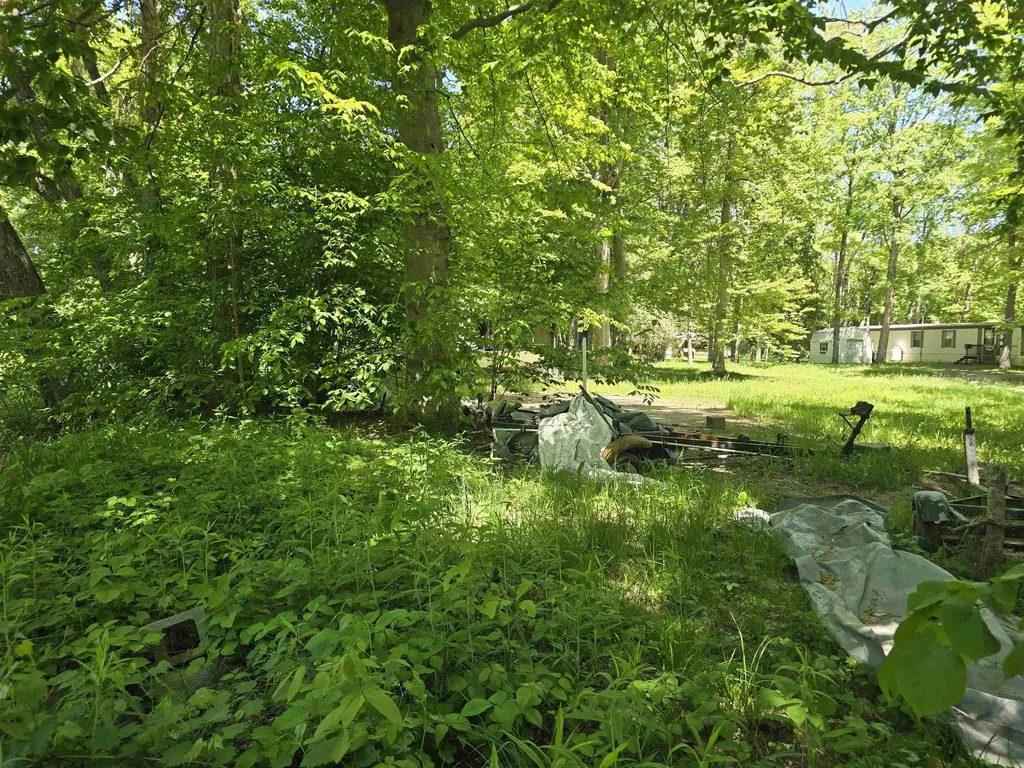 Linden Drive Sylvan Township MI 49631