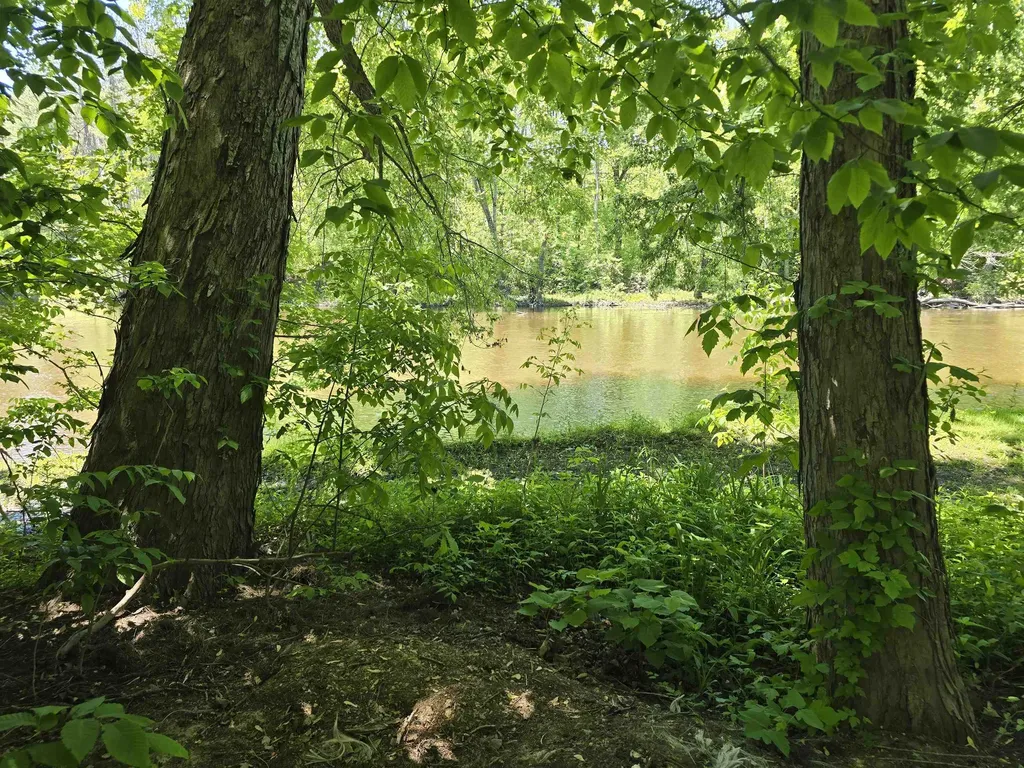 Linden Drive Sylvan Township MI 49631