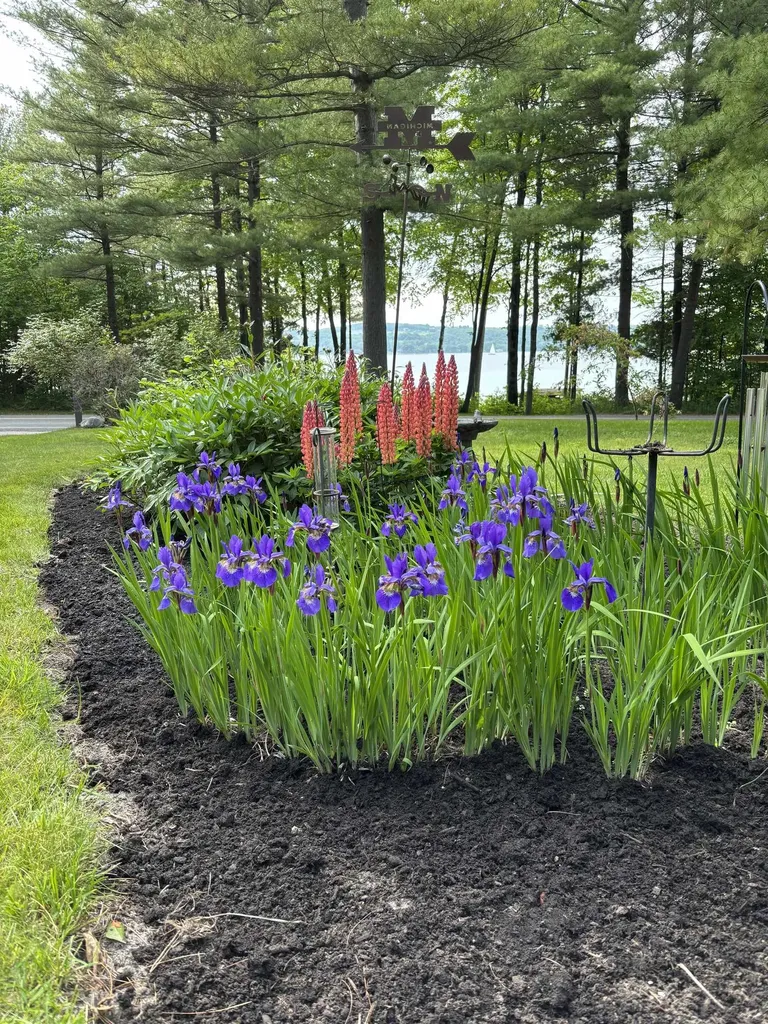 737 S Stony Point Road Suttons Bay Township MI 49682