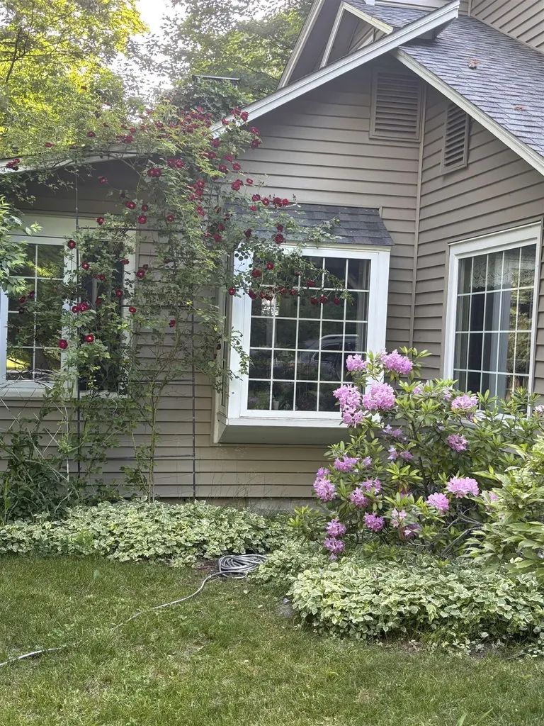 737 S Stony Point Road Suttons Bay Township MI 49682