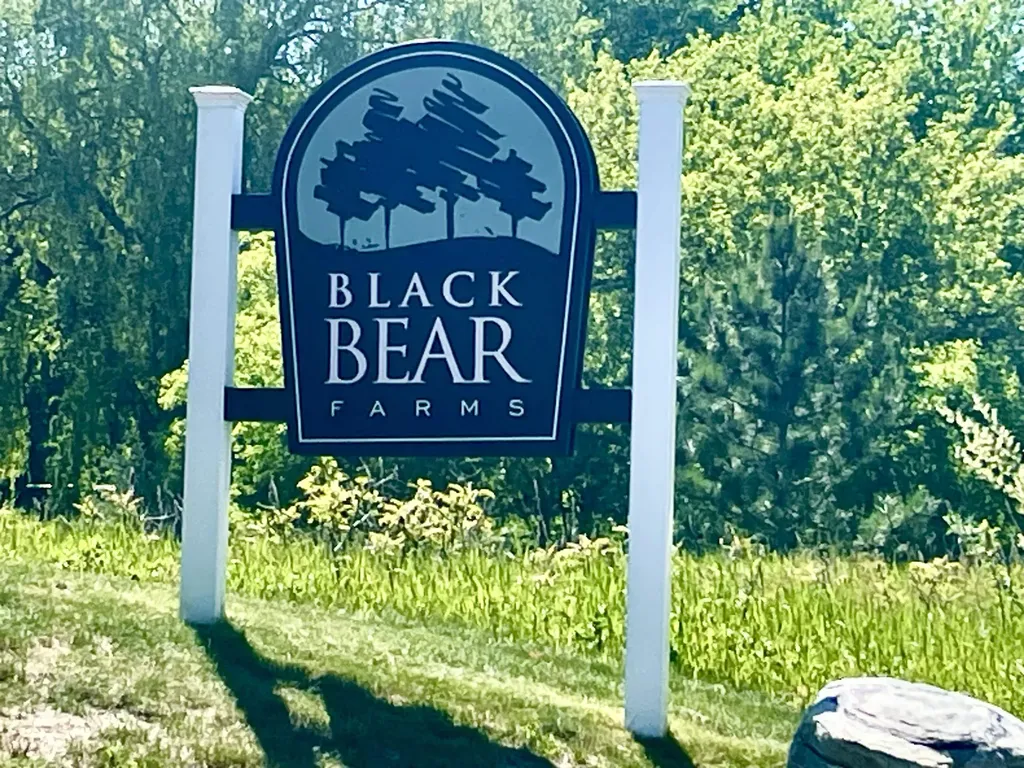 4924 Black Bear Drive Long Lake Township MI 49685
