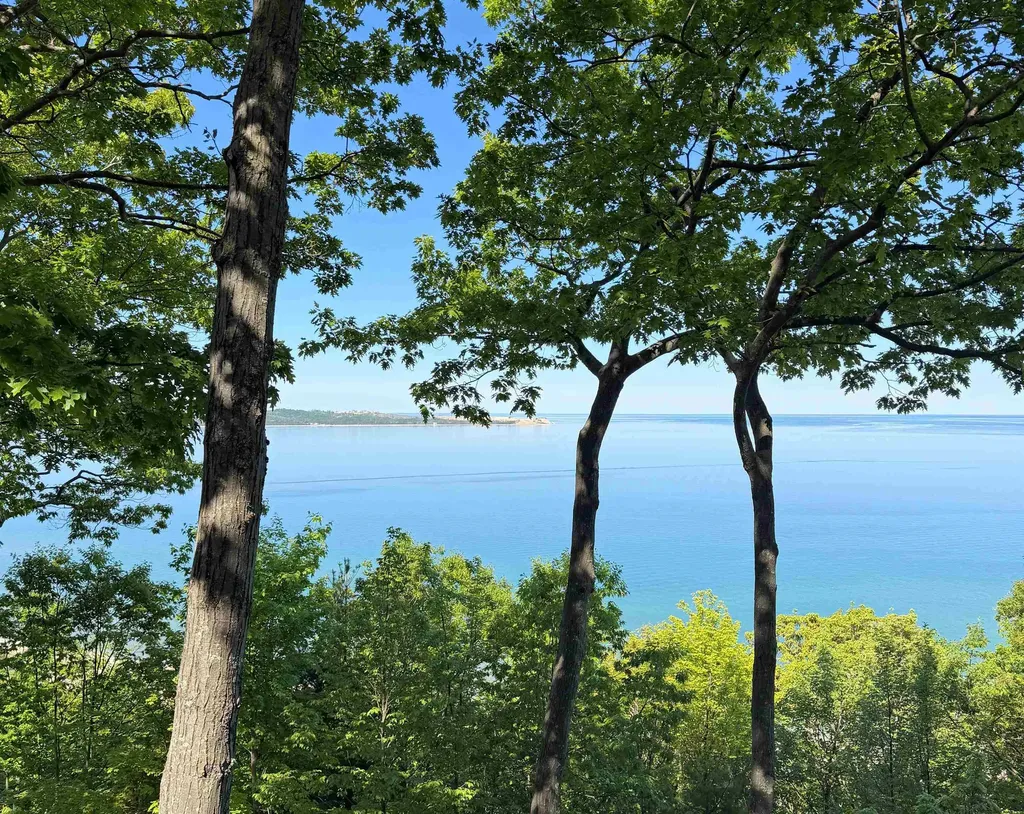 9 Ridge Top Glen Arbor Township MI 49636