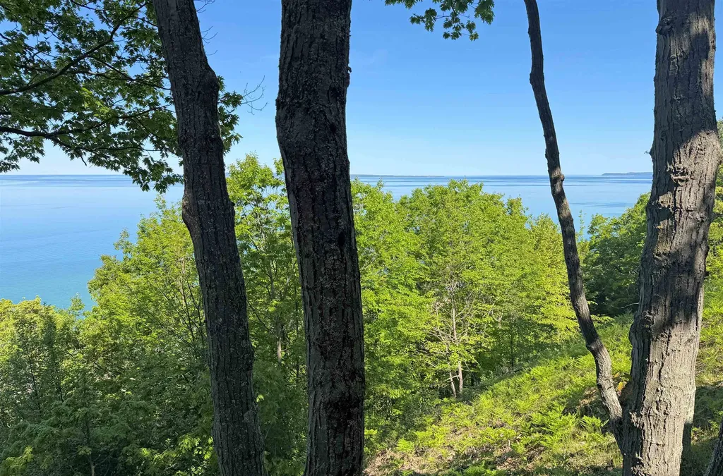 9 Ridge Top Glen Arbor Township MI 49636