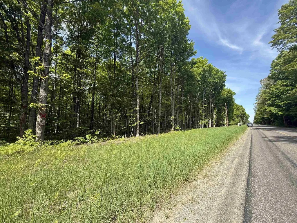 0000 Starvation Lake Road Coldsprings Township MI 49569