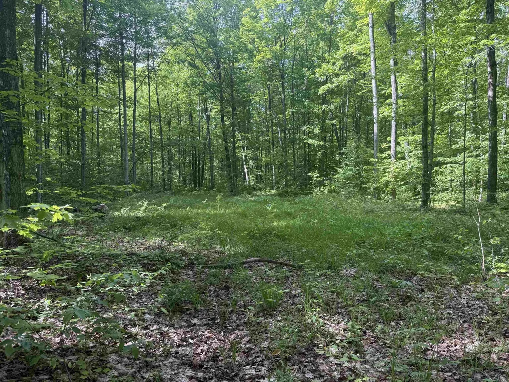 0000 Starvation Lake Road Coldsprings Township MI 49569