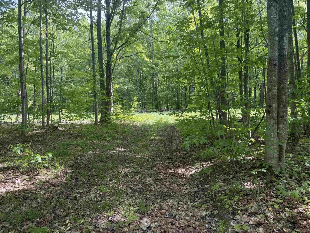 0000 Starvation Lake Road Coldsprings Township MI 49569