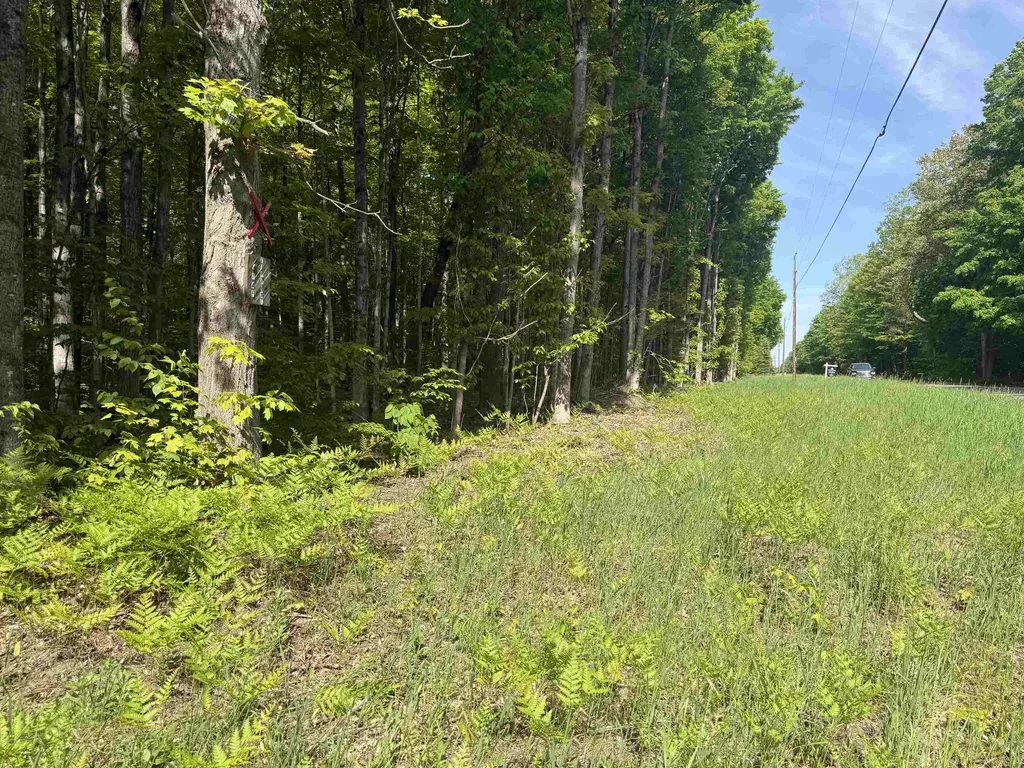 0000 Starvation Lake Road Coldsprings Township MI 49569