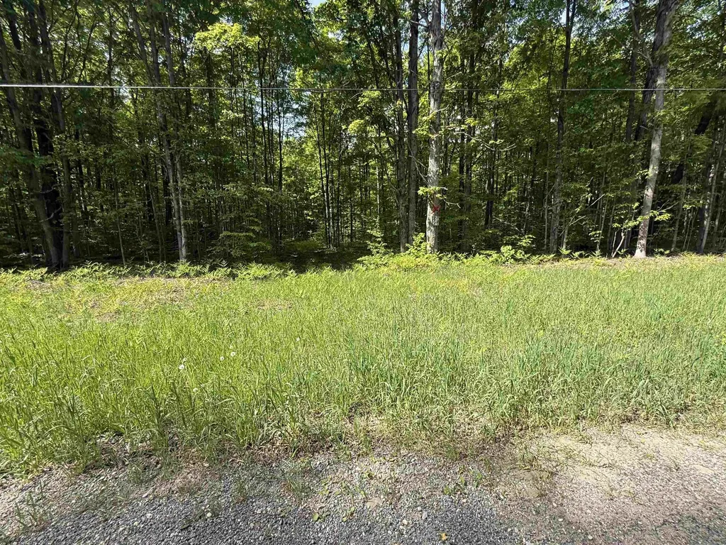 0000 Starvation Lake Road Coldsprings Township MI 49569