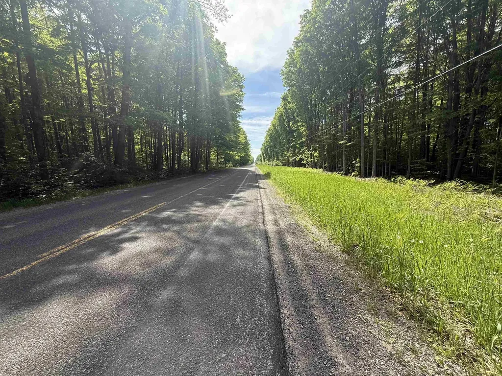 0000 Starvation Lake Road Coldsprings Township MI 49569