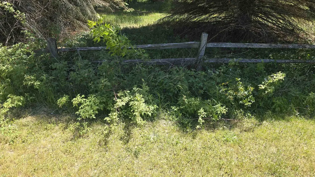4132 Main Mayfield Township MI 49649