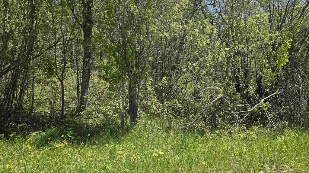 00 Vl Mill Street Mckinley Township MI 49755