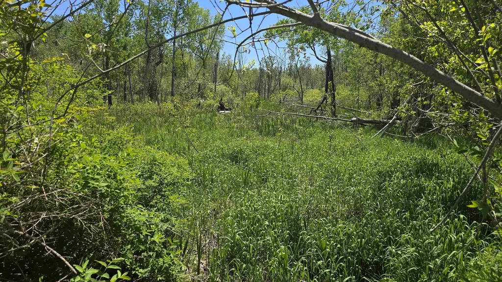 00 Vl Mill Street Mckinley Township MI 49755