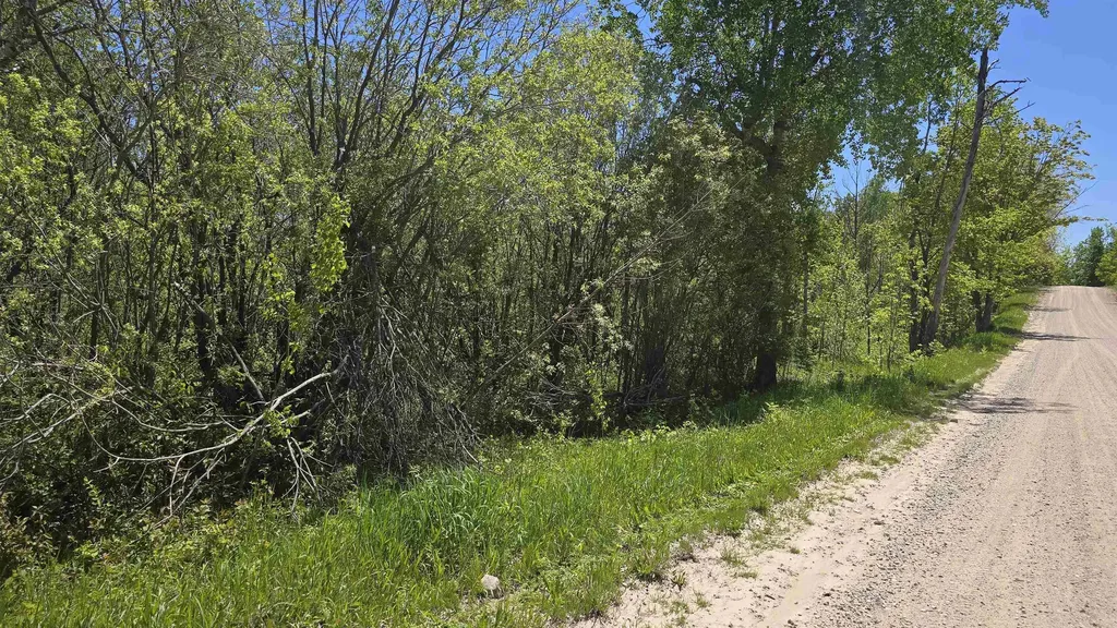 00 Vl Mill Street Mckinley Township MI 49755