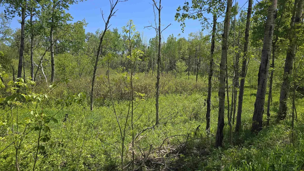00 Vl Mill Street Mckinley Township MI 49755