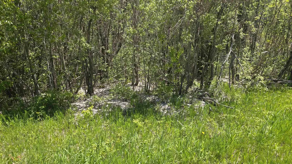 00 Vl Mill Street Mckinley Township MI 49755