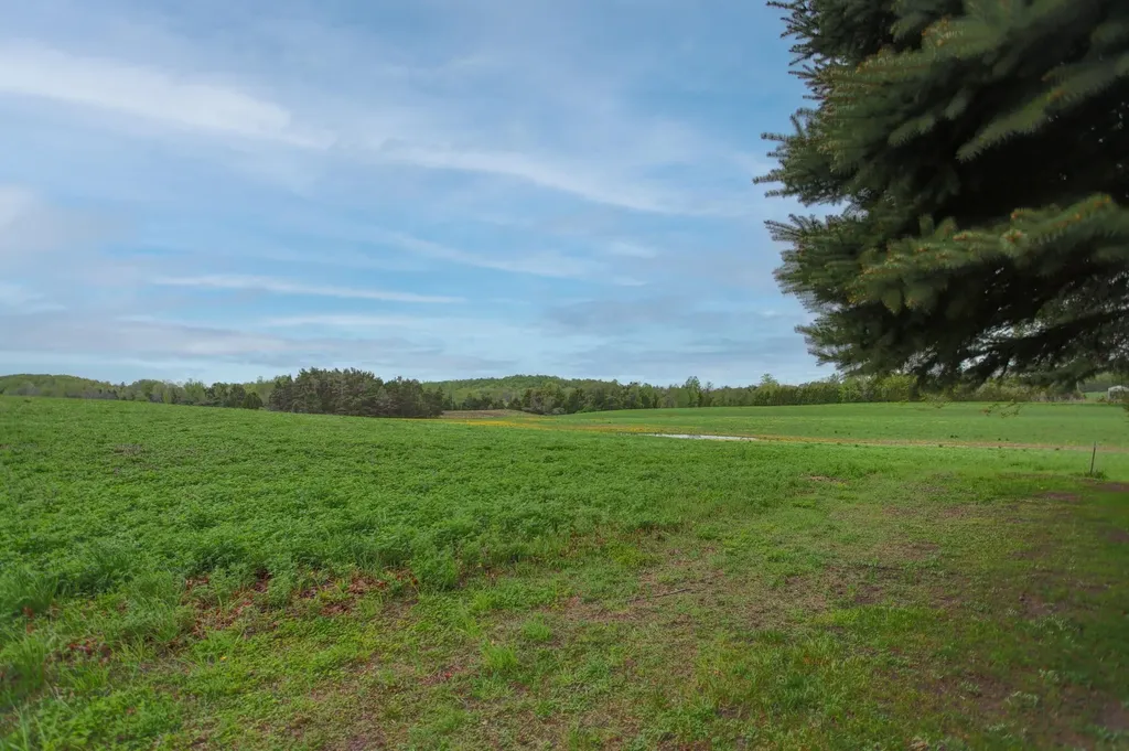 8201 Essex Road Banks Township MI 49729