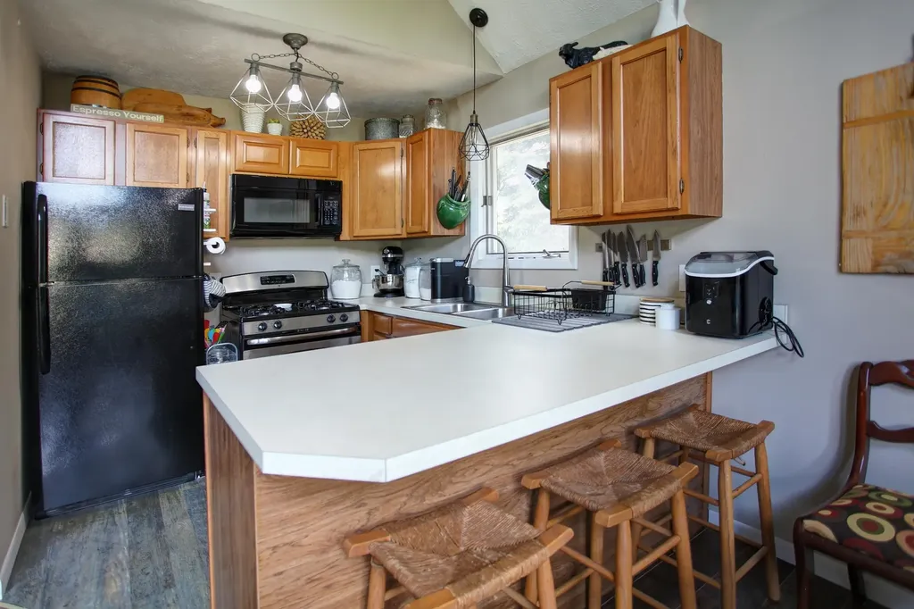 12325 Lincoln Hollow Court Elmwood Charter Township MI 49621