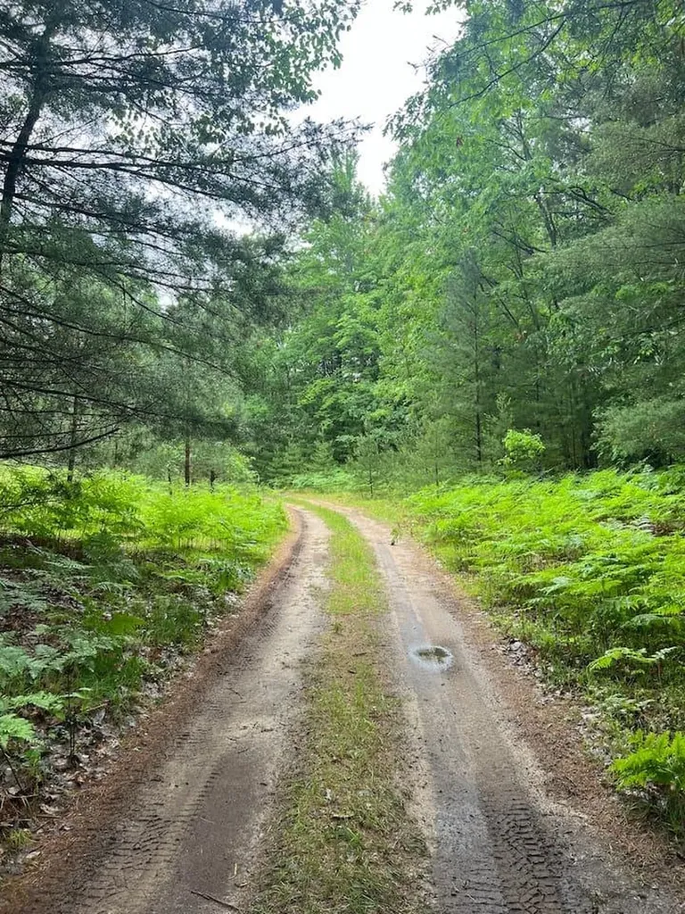 9239 E Eight Mile Road Dover Township MI 49656