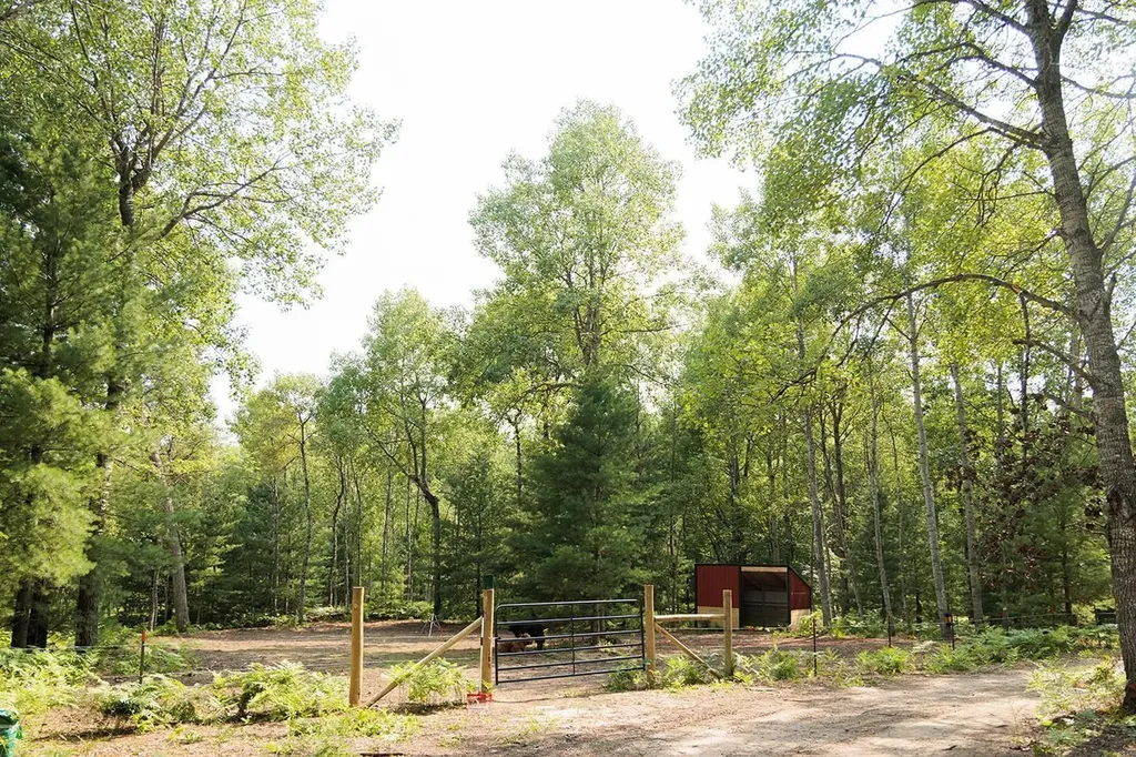 9239 E Eight Mile Road Dover Township MI 49656