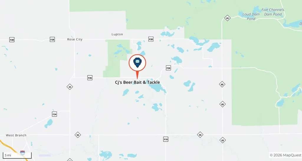 3519 E Sage Lake Road Hill Township MI 48635