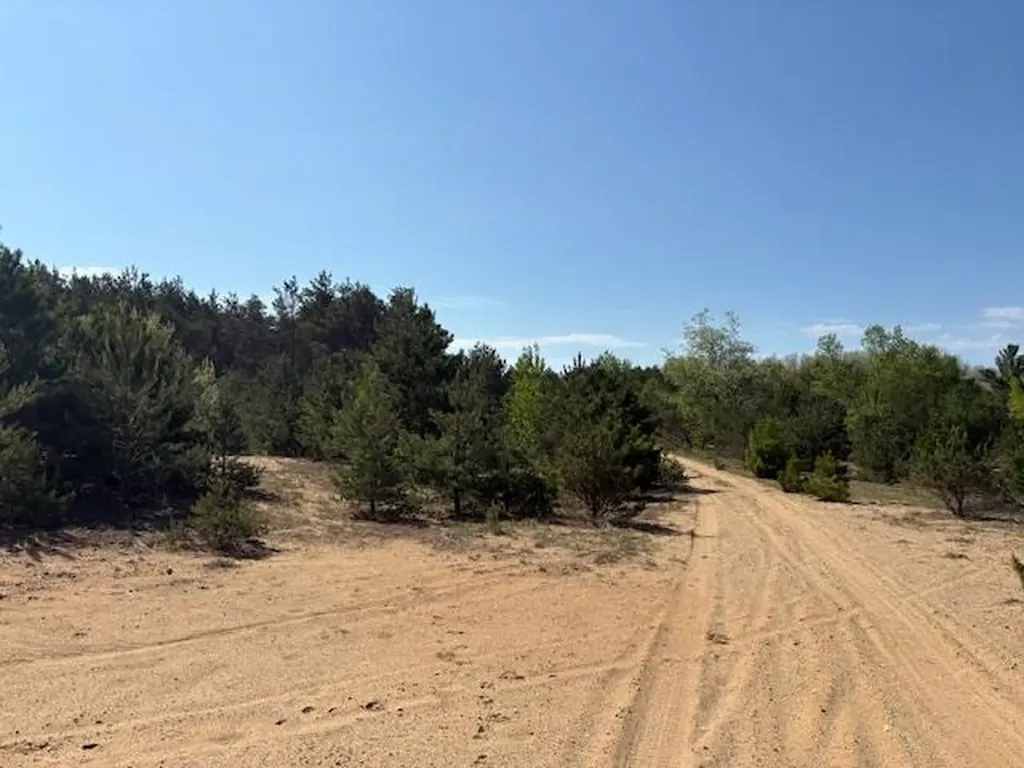 Parcel F 2 1/2 Road Hanover Township MI 49620