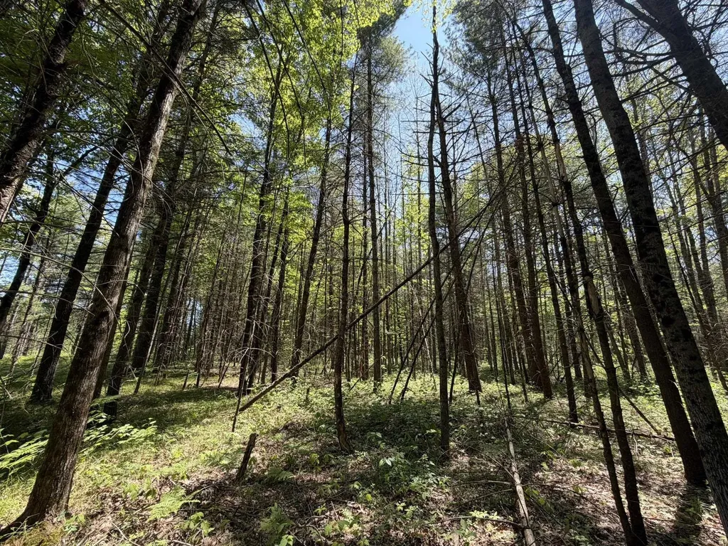 V/l Us-10 Pleasant Plains Township MI 49642