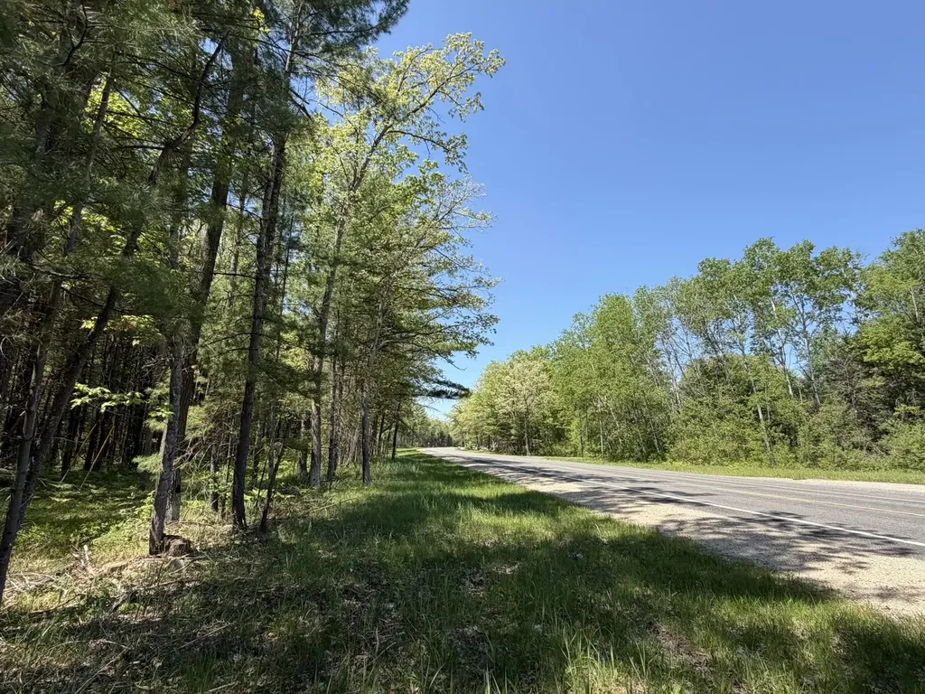 V/l Us-10 Pleasant Plains Township MI 49642