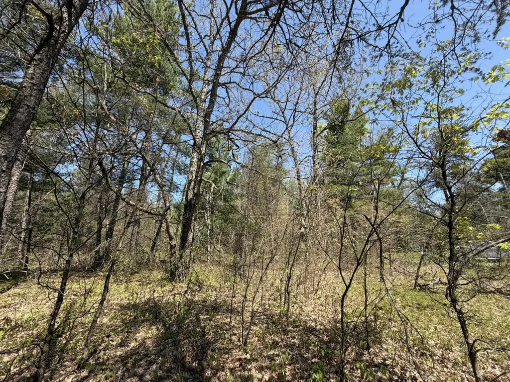 V/l Us-10 Pleasant Plains Township MI 49642