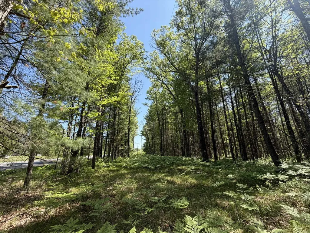 V/l Us-10 Pleasant Plains Township MI 49642