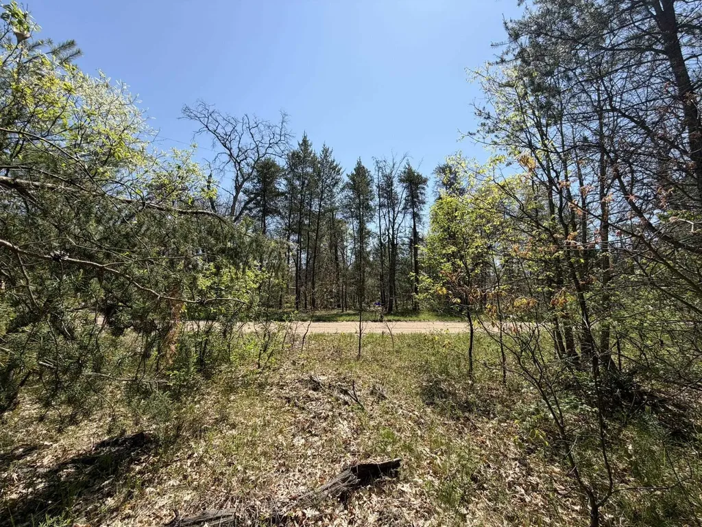 V/l Us-10 Pleasant Plains Township MI 49642