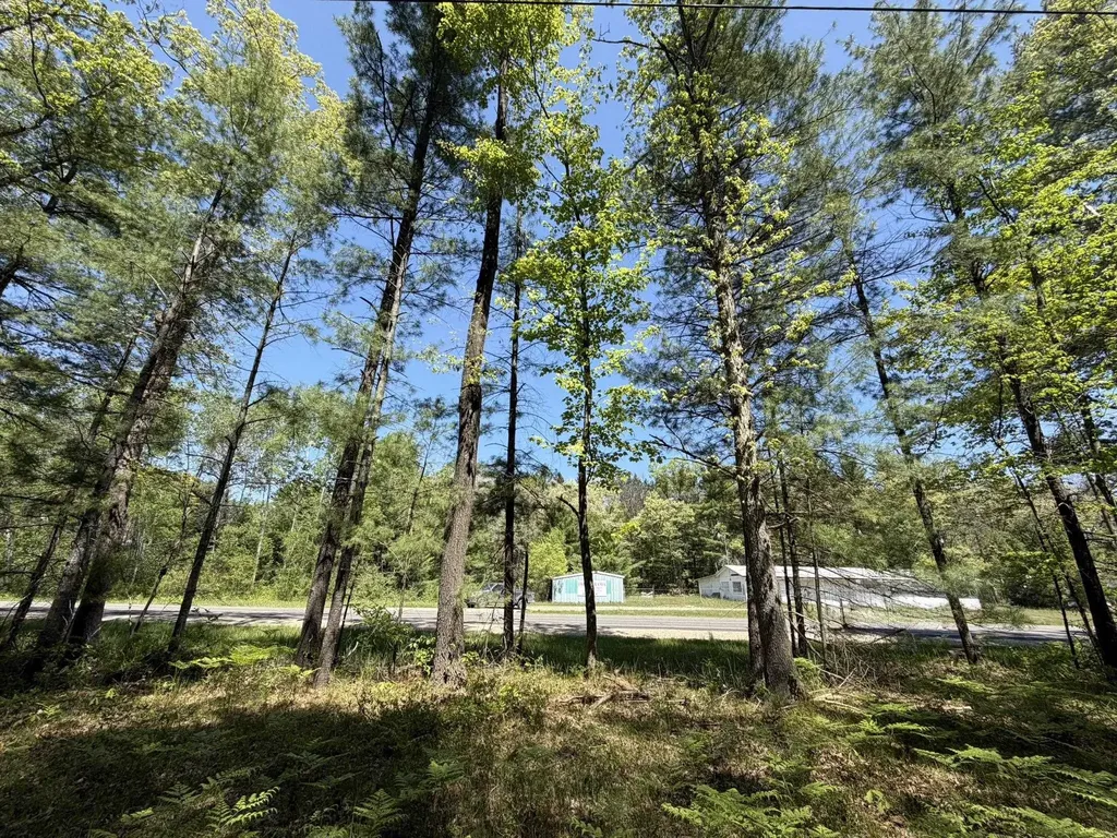V/l Us-10 Pleasant Plains Township MI 49642