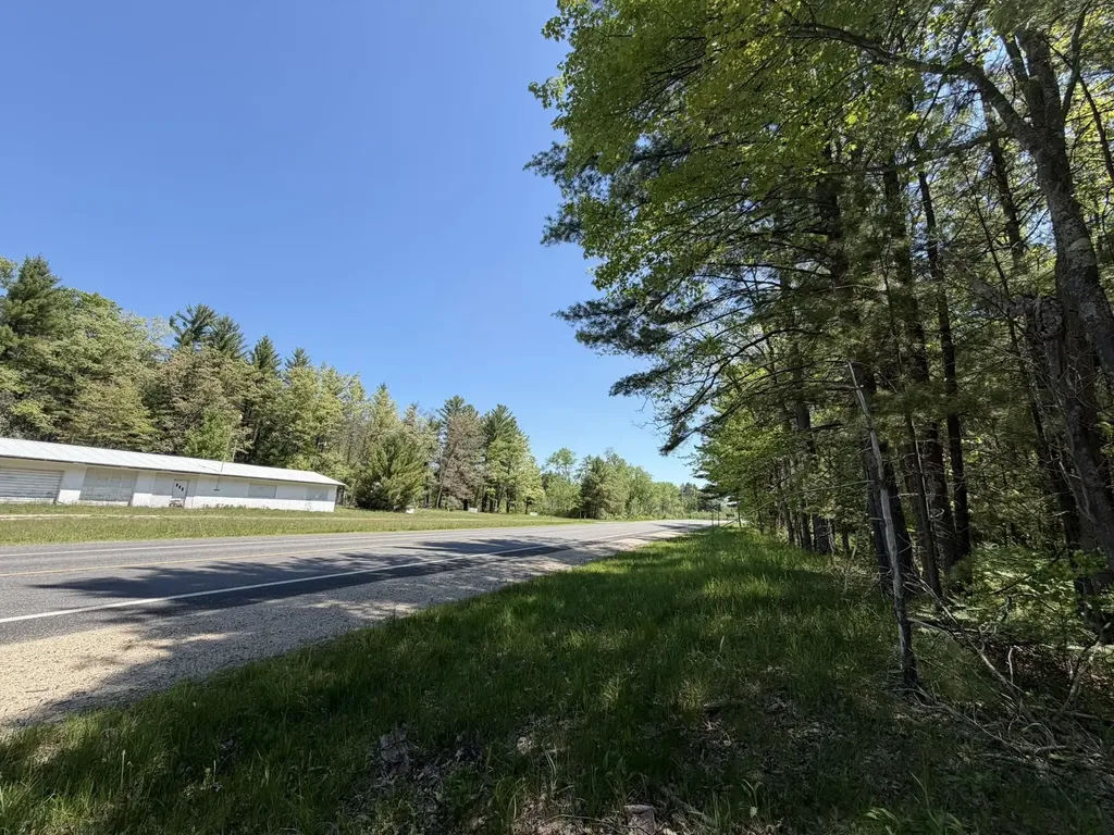 V/l Us-10 Pleasant Plains Township MI 49642