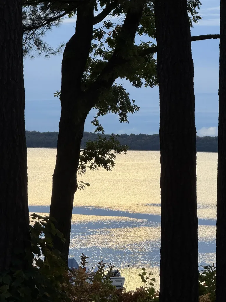 11537 Bluff Road Peninsula Township MI 49686