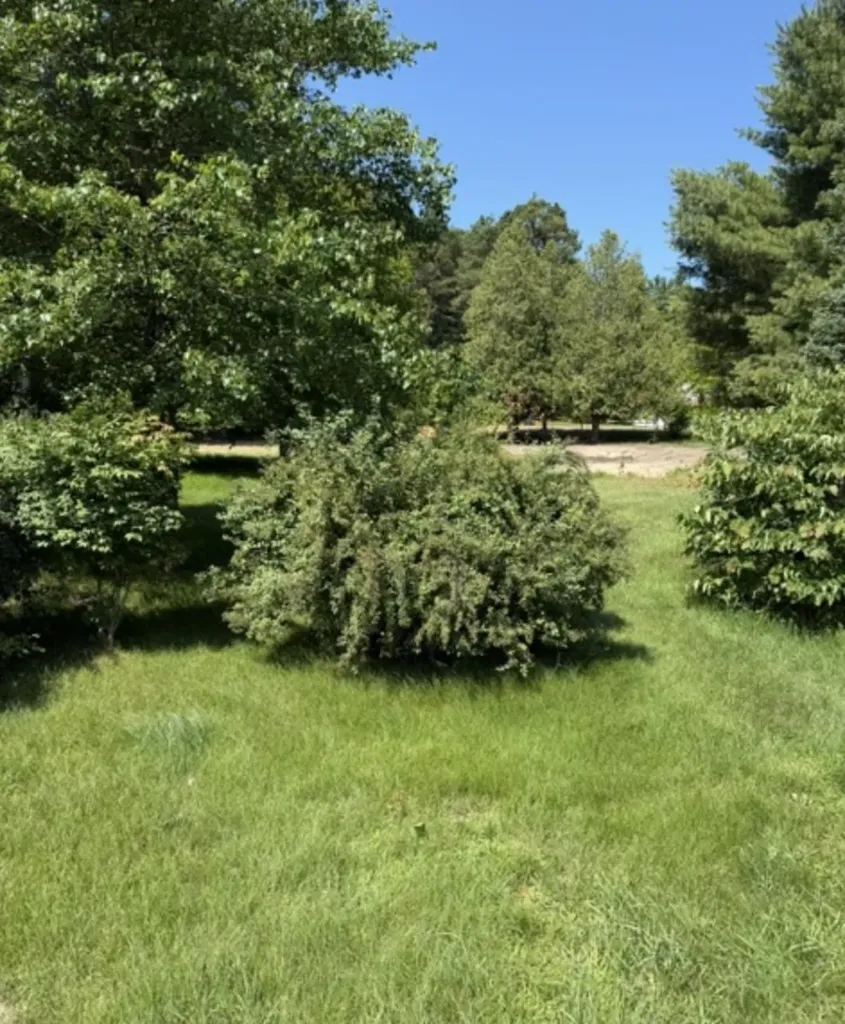 2481 N Manitou Trail Leland Township MI 49654