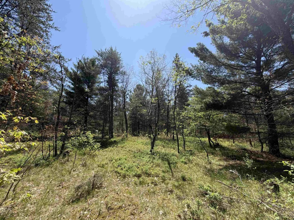 US-10 Cherry Valley Township MI 49642