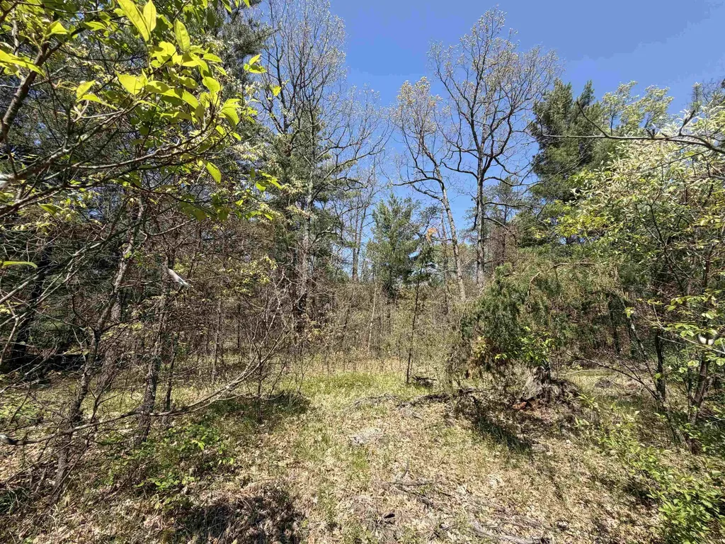 US-10 Cherry Valley Township MI 49642