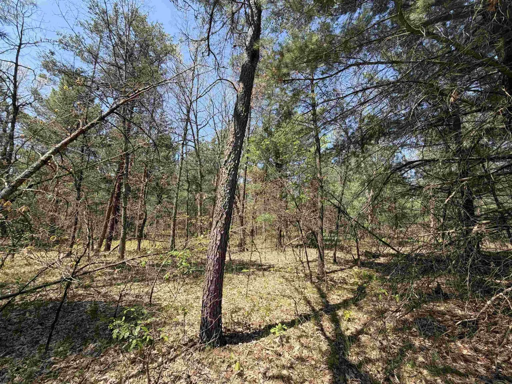 US-10 Cherry Valley Township MI 49642