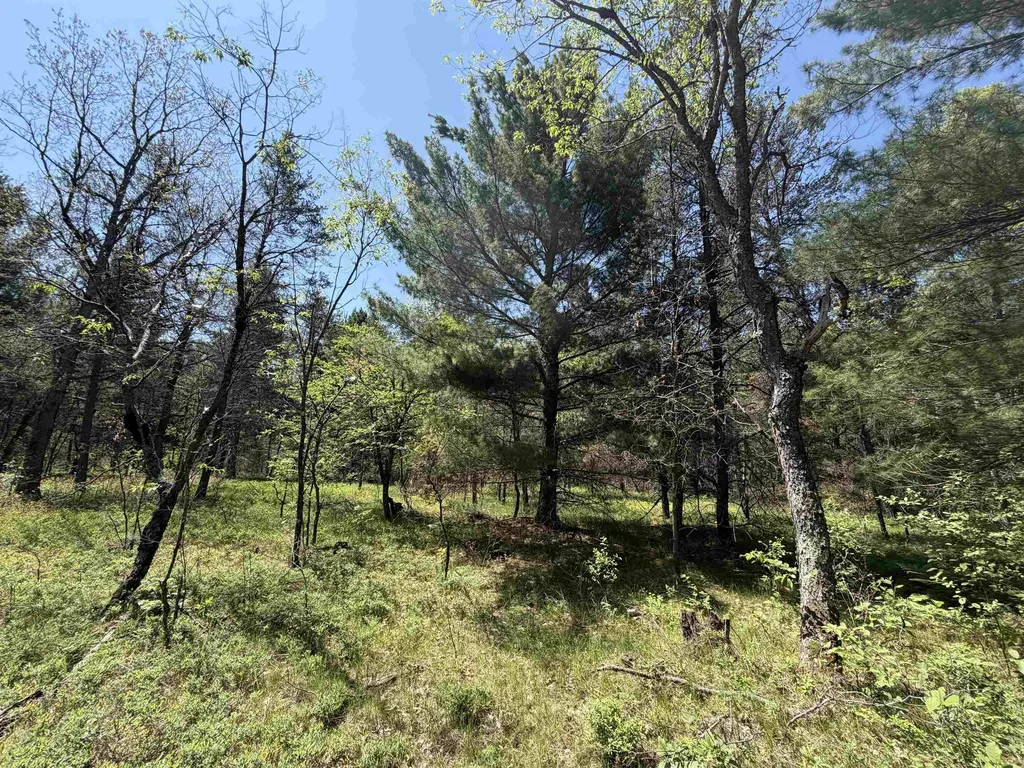 US-10 Cherry Valley Township MI 49642