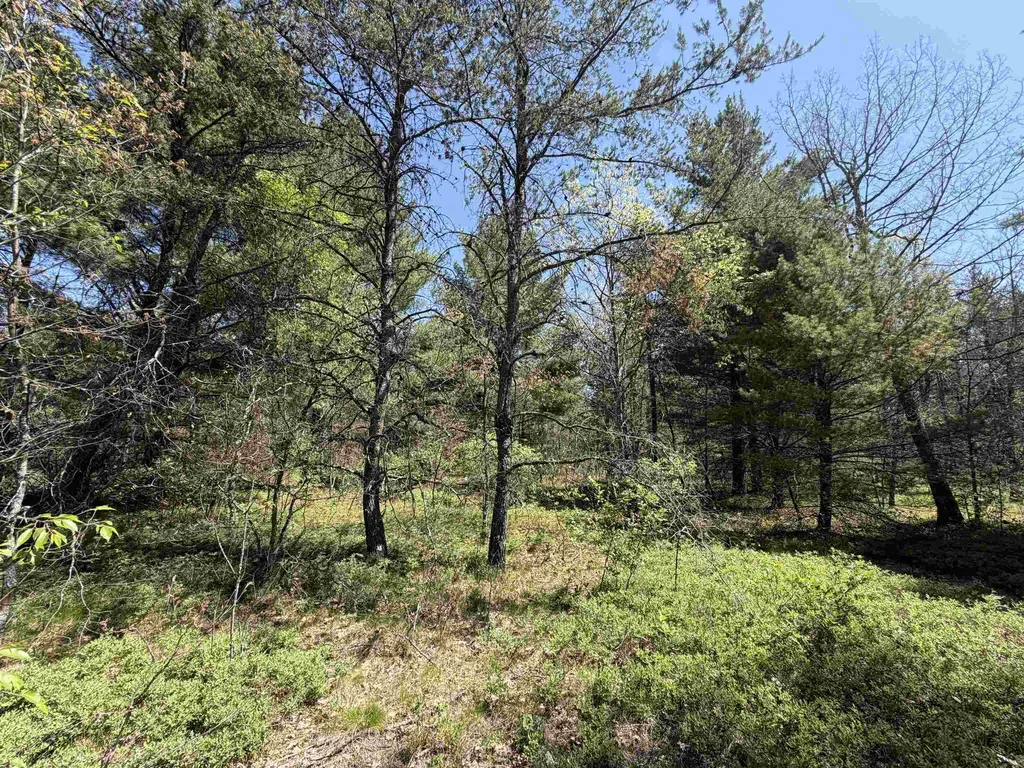 US-10 Cherry Valley Township MI 49642