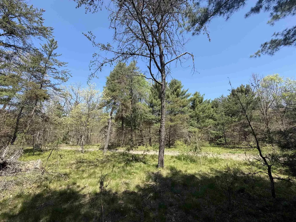 US-10 Cherry Valley Township MI 49642