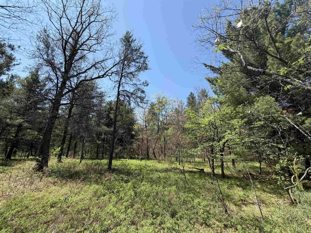 US-10 Cherry Valley Township MI 49642