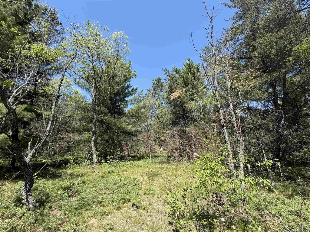 US-10 Cherry Valley Township MI 49642