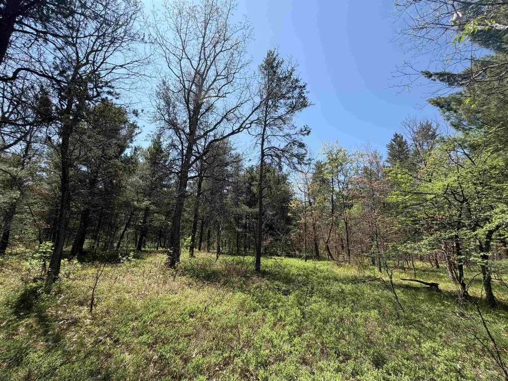 US-10 Cherry Valley Township MI 49642